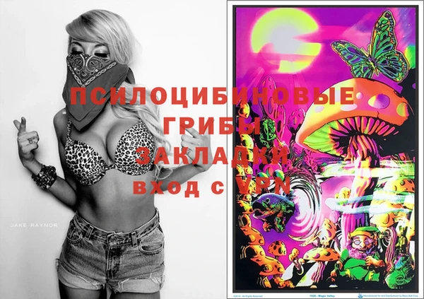 MDMA Медногорск