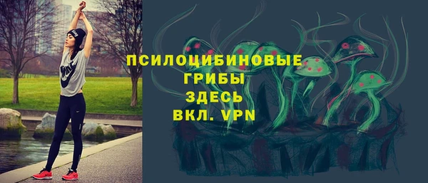 мдпв Майский