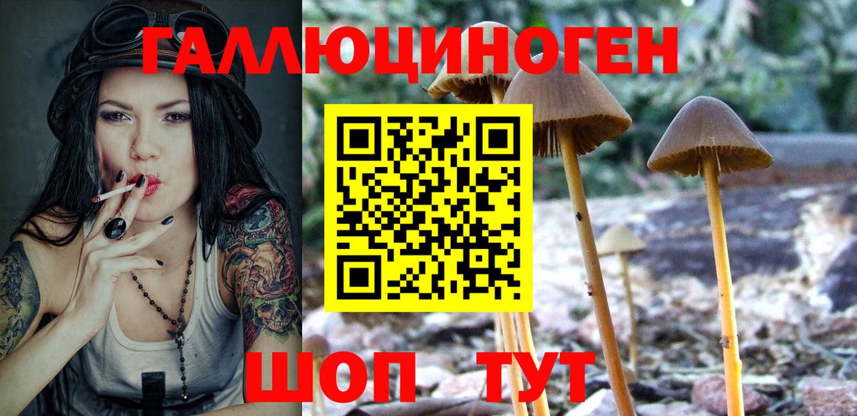 Псилоцибиновые грибы ЛСД Выборг